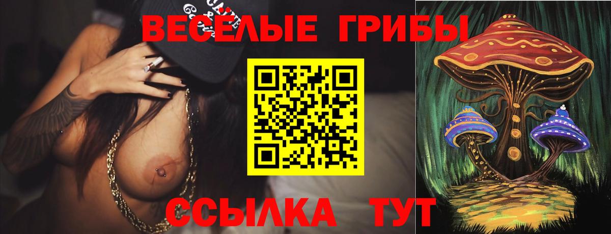 Галлюциногенные грибы ЛСД  Вход с VPN  Волжск 